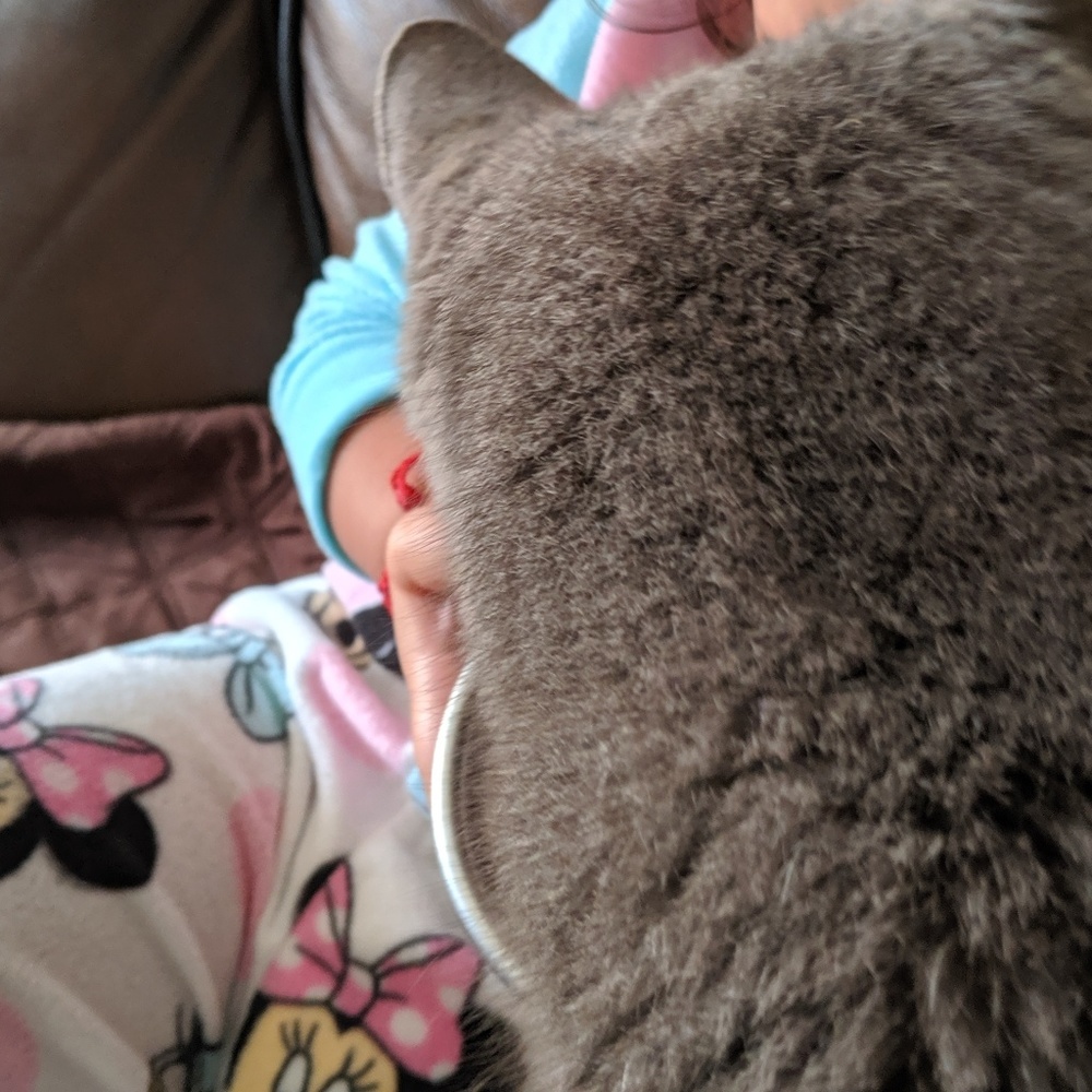 Meet your Posher, Tanya